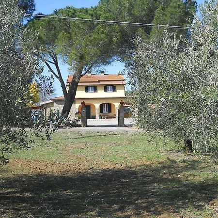 Agriturismo Poggio Sassineri Βίλα Magliano in Toscana Εξωτερικό φωτογραφία