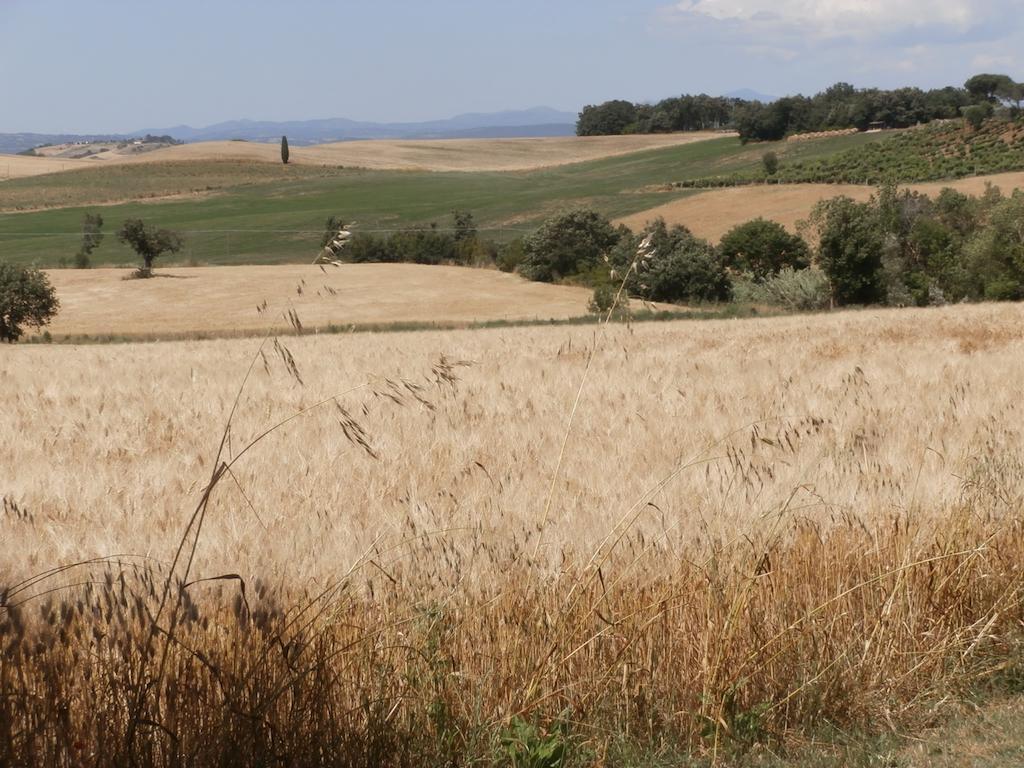 Agriturismo Poggio Sassineri Βίλα Magliano in Toscana Εξωτερικό φωτογραφία