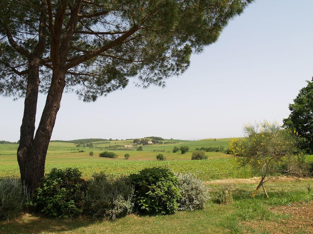 Agriturismo Poggio Sassineri Βίλα Magliano in Toscana Εξωτερικό φωτογραφία