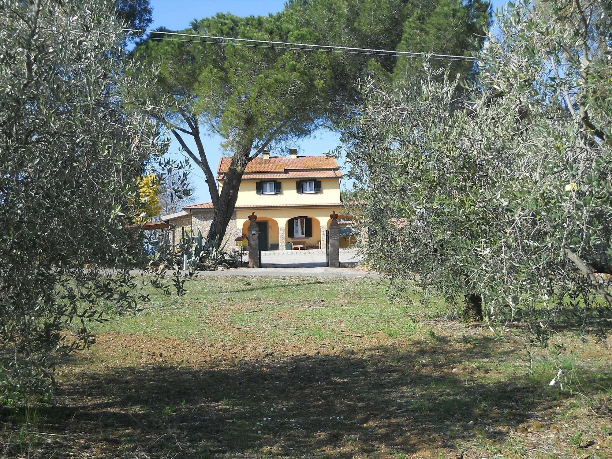 Agriturismo Poggio Sassineri Βίλα Magliano in Toscana Εξωτερικό φωτογραφία